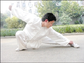 苌家拳之青龙出海拳·翻身伏入水晶宫 苌家拳之青龙出海拳·翻身伏入水晶宫