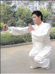苌家拳之青龙出海拳·剑指七星透玲珑 苌家拳之青龙出海拳·剑指七星透玲珑