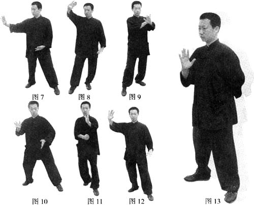 陈式太极拳十三桩养生术