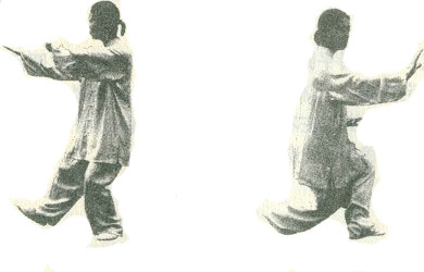 四十八式太极拳(中)----杨静