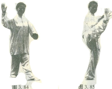四十八式太极拳(中)----杨静