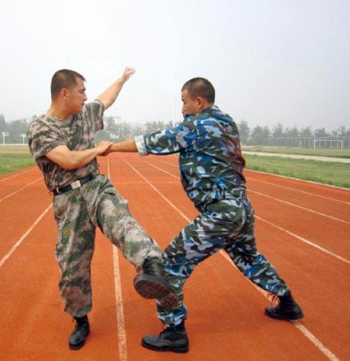 一招制敌术:防左直拳之敌_军警格斗_武术_武风武术网