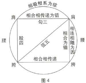 如何理解陈式太极拳的外三合