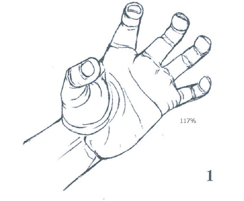 少林五拳之龙拳